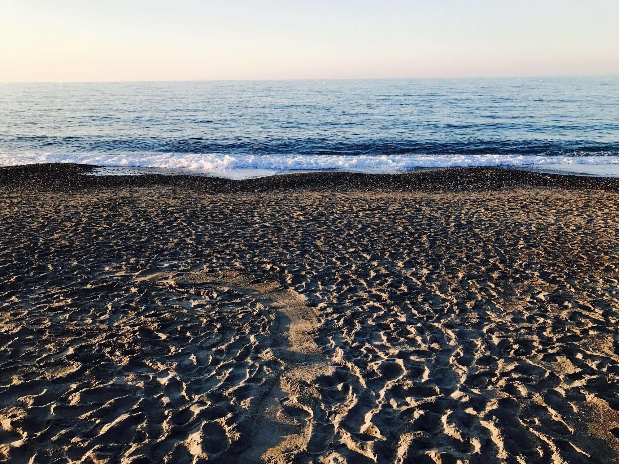 Katerina Seaside Studios 플라타니아스 외부 사진